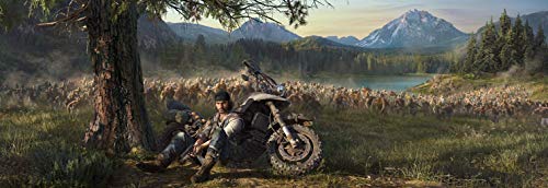 Days Gone - PS4