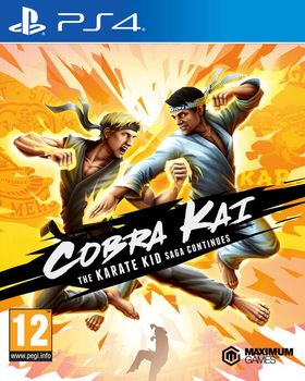 Cobra Kai : The Karate Kid Continues - PS4